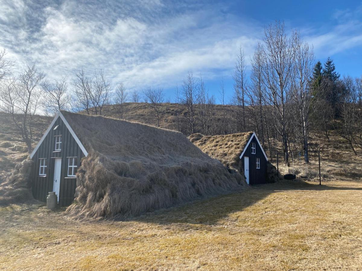 Dalshofdi Guesthouse Eksteriør bilde