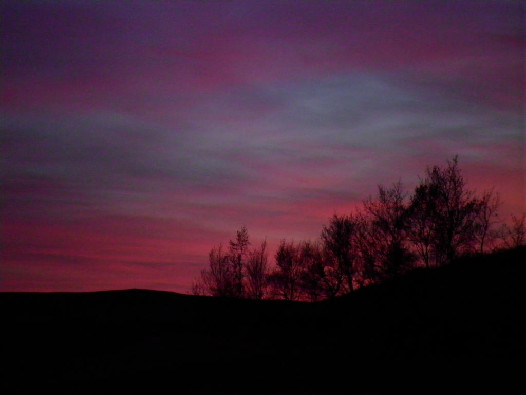 Dalshofdi Guesthouse Eksteriør bilde