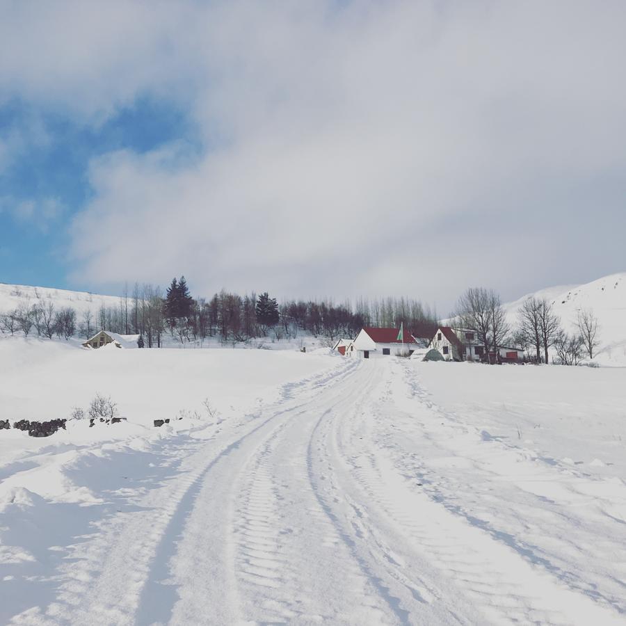 Dalshofdi Guesthouse Eksteriør bilde