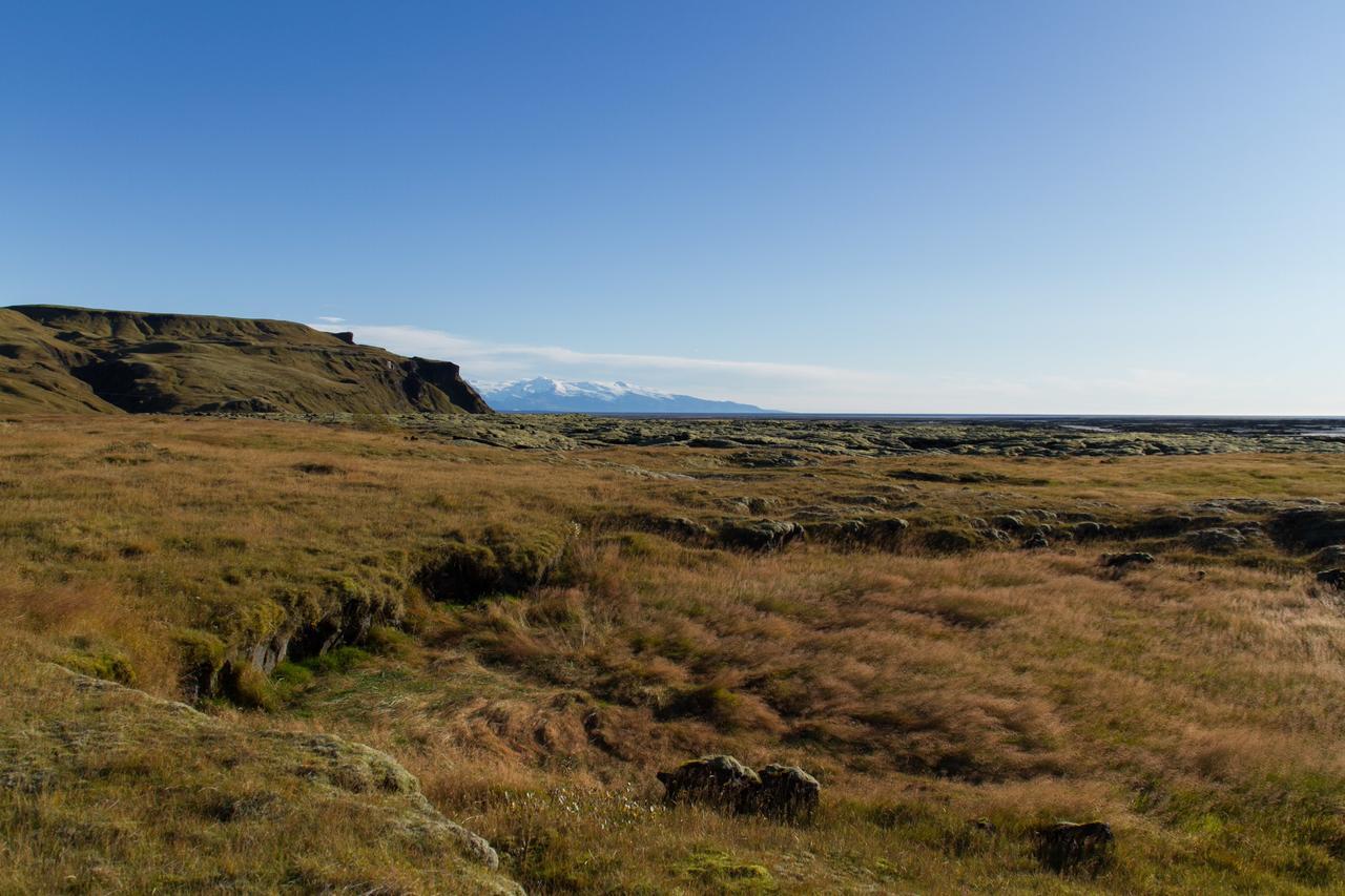 Dalshofdi Guesthouse Eksteriør bilde