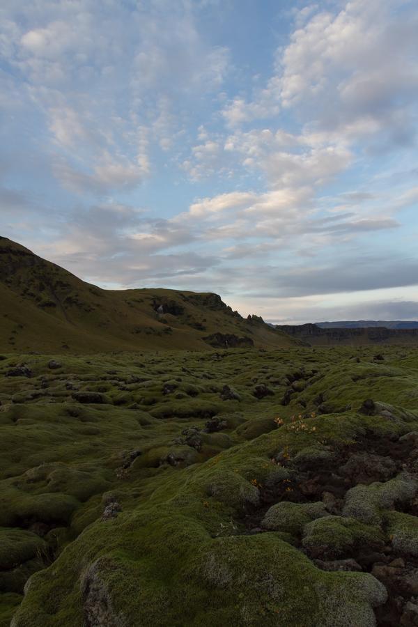 Dalshofdi Guesthouse Eksteriør bilde