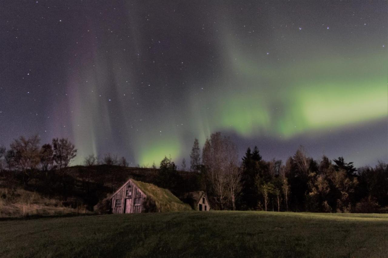 Dalshofdi Guesthouse Eksteriør bilde